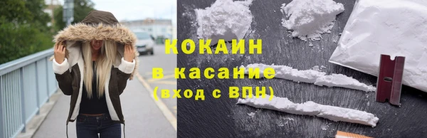 индика Абаза