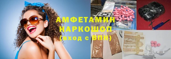 индика Абаза