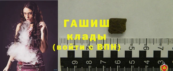 индика Абаза