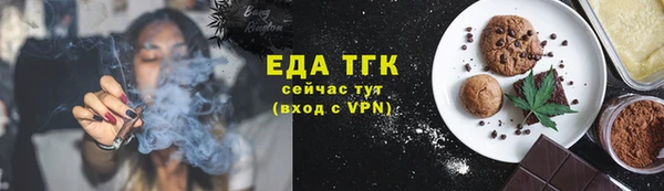индика Абаза