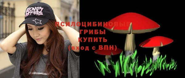 гашик Абдулино