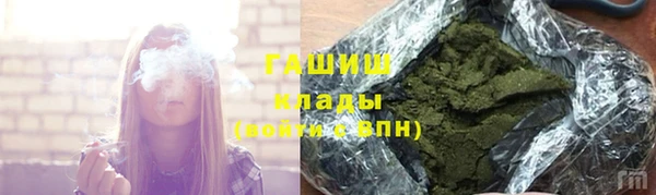 индика Абаза