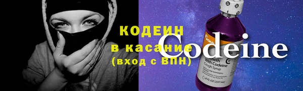 индика Абаза