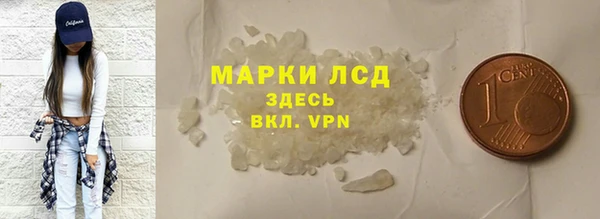 индика Абаза