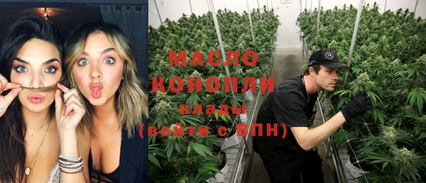 индика Абаза