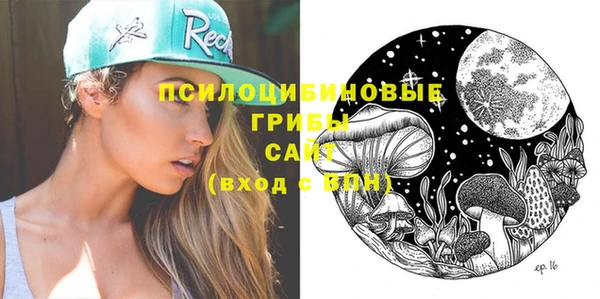 гашик Абдулино