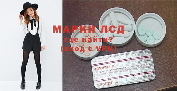 индика Абаза