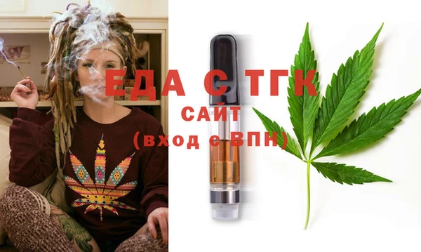 индика Абаза