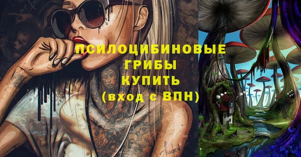 индика Абаза