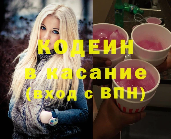 индика Абаза