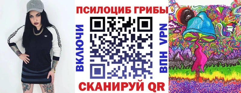 ссылка на мегу ТОР  Каменка  Псилоцибиновые грибы Psilocybe 